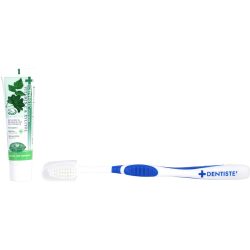 Plus White Travel Set: Nighttime Herbal Toothpaste 20g + Toothbrush --2pcs - Dentiste by Dentiste