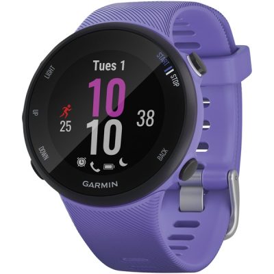 Garmin 010-02156-01 Forerunner 45S Running Watch (Iris)