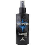 STRUCTURE TRANSFORM SPRAY CLAY 5.1 OZ - JOICO by Joico