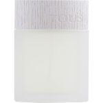 Concentrate Edt Spray 3.4 Oz *Tester - Tous Man Les Colognes By Tous