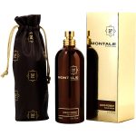 Eau De Parfum Spray 3.4 Oz - Montale Paris Aoud Forest By Montale