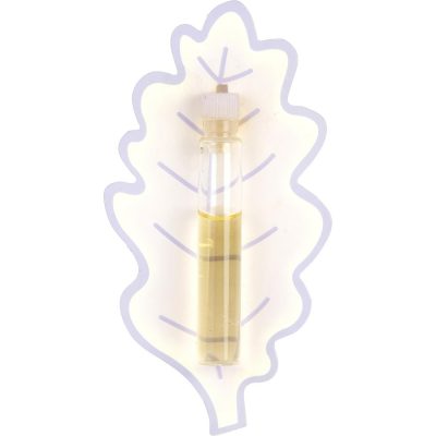 Eau De Parfum Vial On Card - Ines De La Fressange By Ines De La Fressange