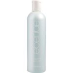Equalizing Detangler 12 Oz - Aquage By Aquage