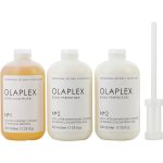 Salon Intro Kit ((1) 17.75 Oz. Olaplex Nã‚Â°1 Bond Multiplier