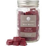 Simmering Fragrance Chips - 8 Oz Jar Containing 100 Melts - Cinnamon Scented By