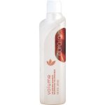 Volume Promise Volumizing Shampoo 8.45 Oz - Eufora By Eufora