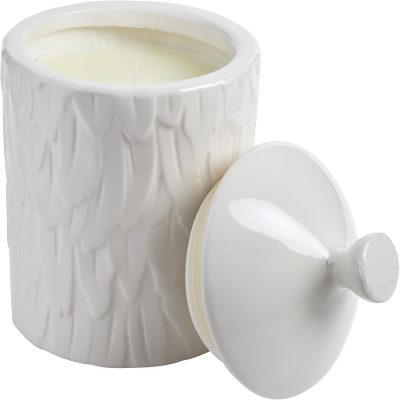 Wildflower Feather Textured Scented Candle 18.4 Oz - Thompson Ferrier By Thompson Ferrier